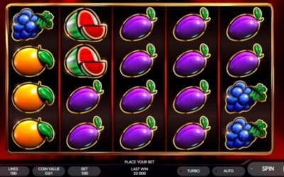 Experience the Excitement of New Microgaming 5-Reel Slots